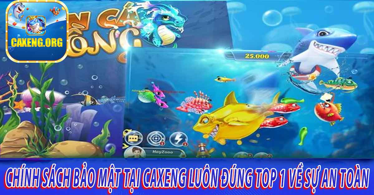 Những chính sách bảo mật của Caxeng hỗ trợ bạn